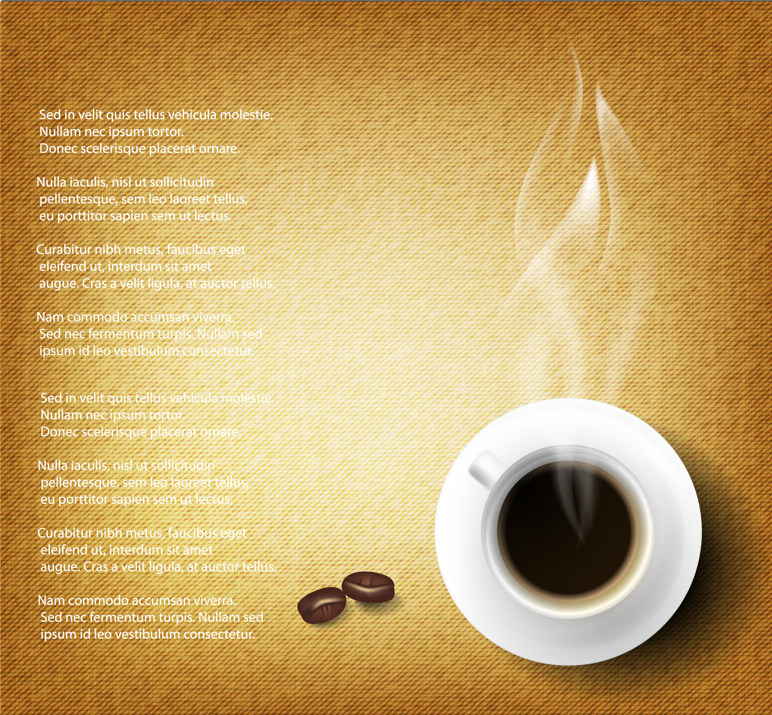 A spotless home in 3 hours flat